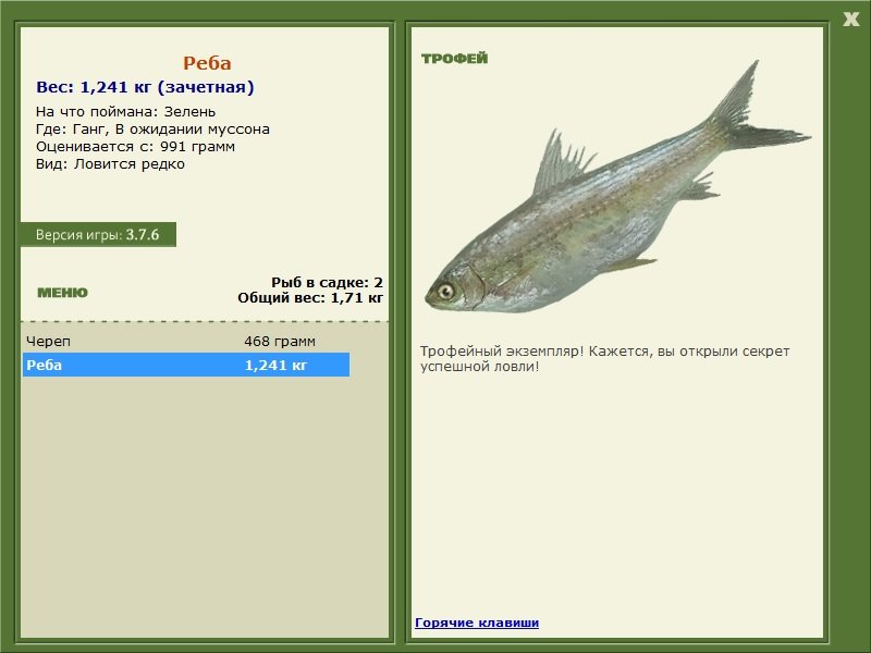 Реба 