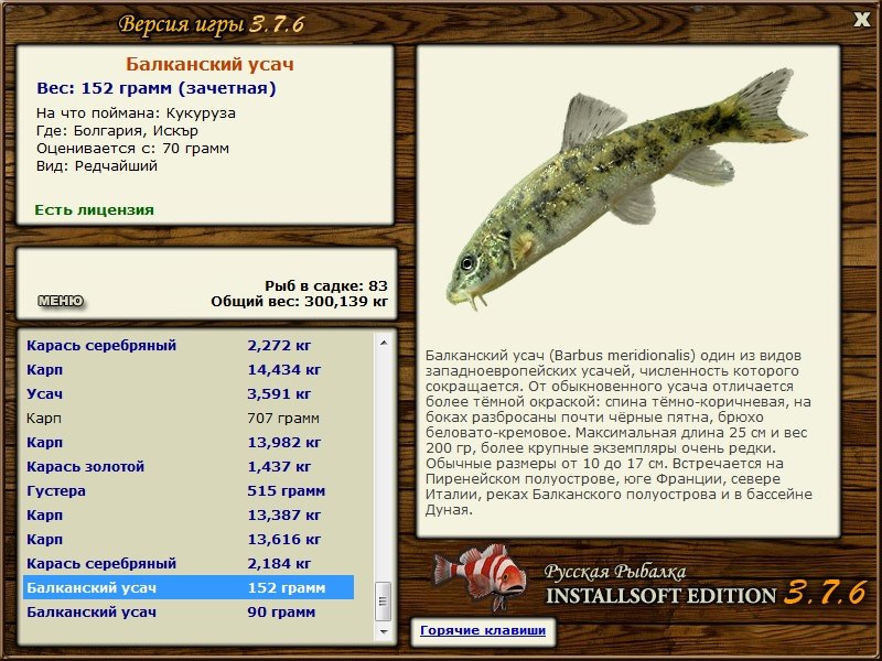 турниры • РУССКАЯ РЫБАЛКА