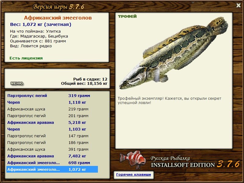 Африканский змееголов 