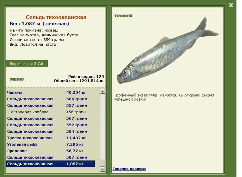 Сельдь тихоокеанская 