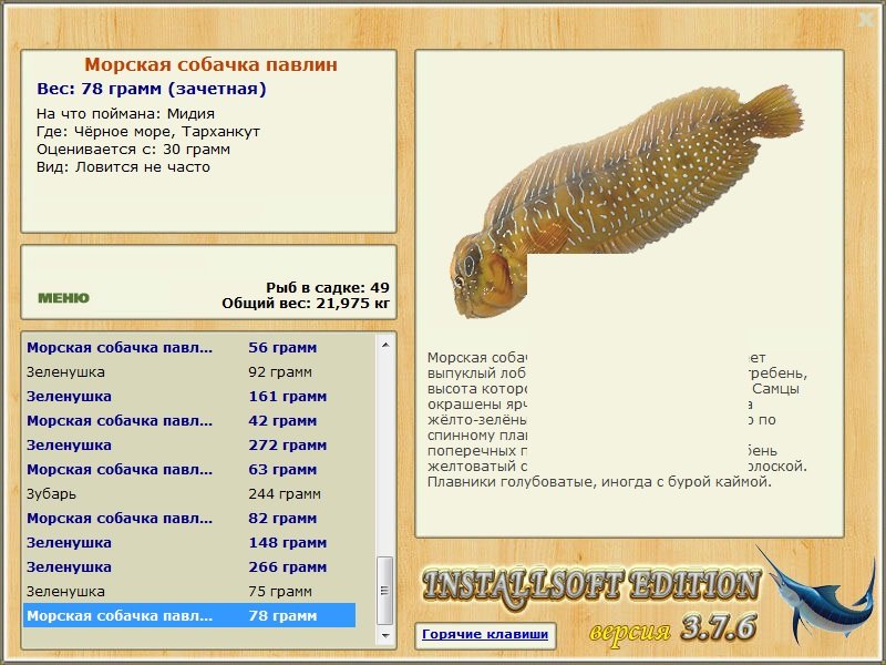турниры • РУССКАЯ РЫБАЛКА
