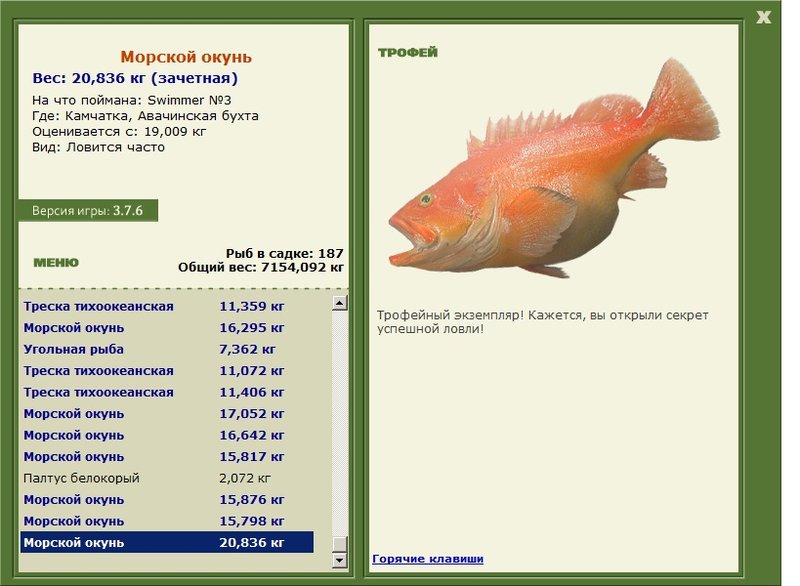 Морской окунь 