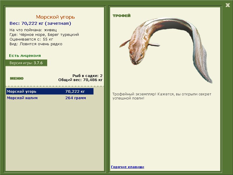 Берег турецкий 
