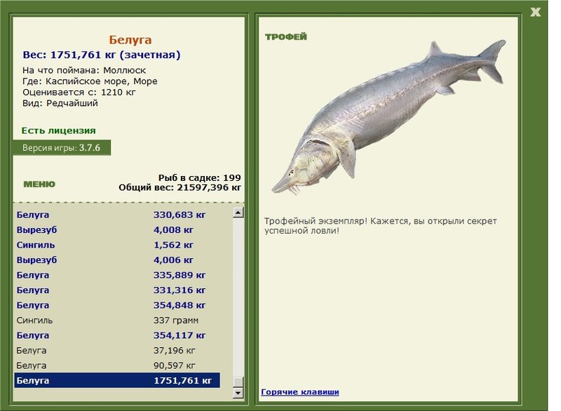 Море 