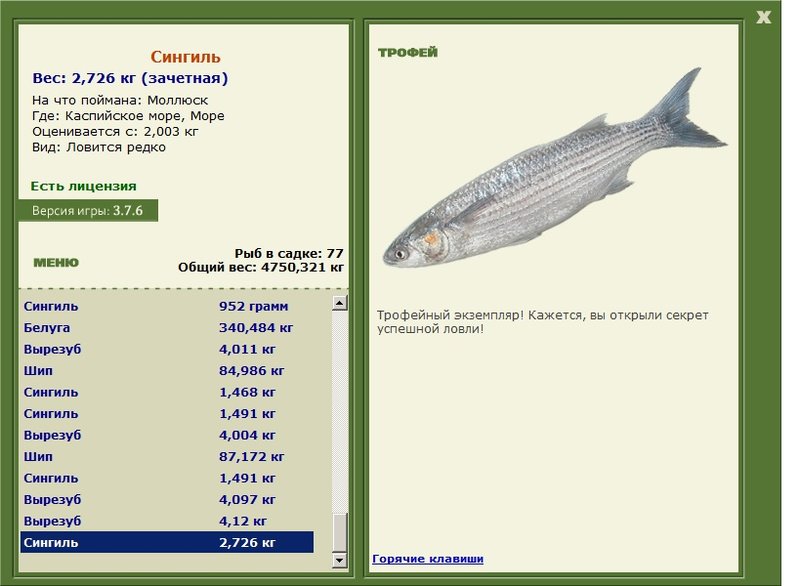 Море 