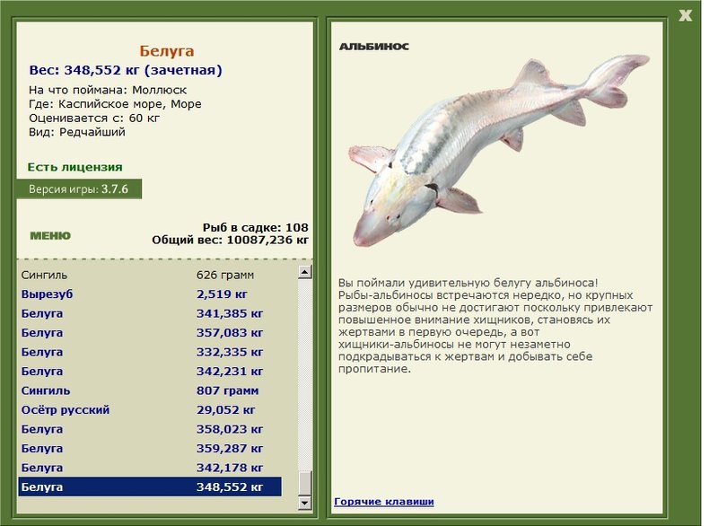 Море 