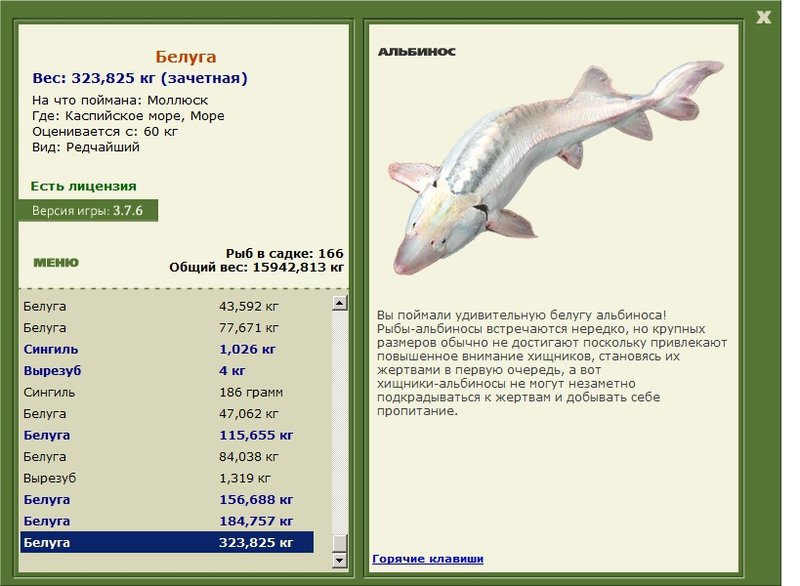 Море 