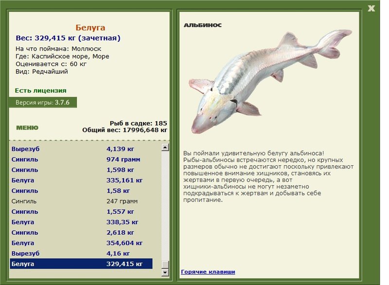 Море 
