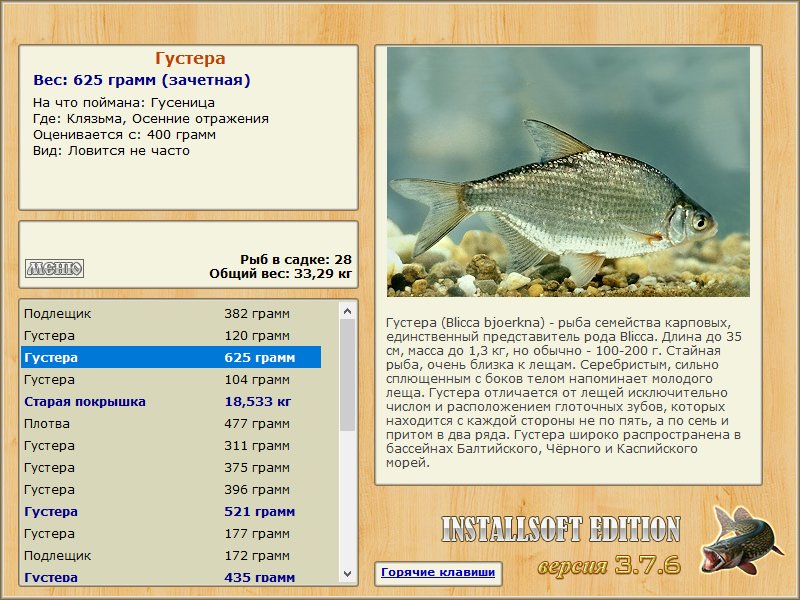 Осенние отражения 