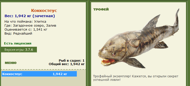 Коккостеус 