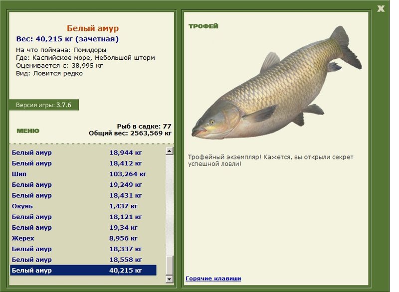 Белый амур 