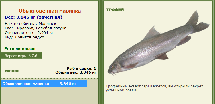 Обыкновенная маринка 