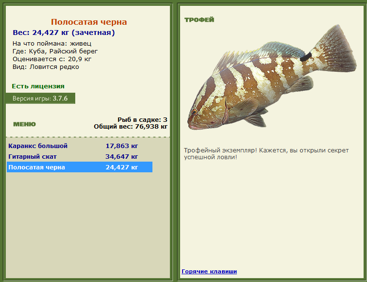турниры • РУССКАЯ РЫБАЛКА