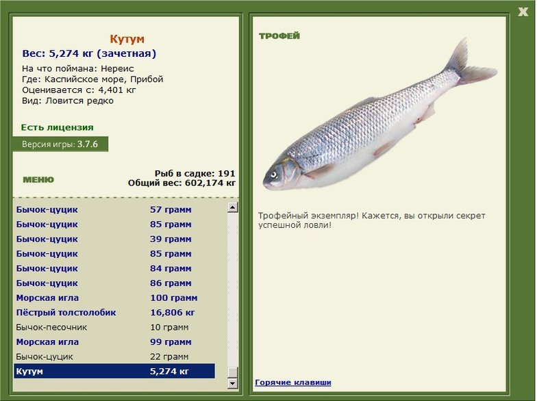 Кутум 