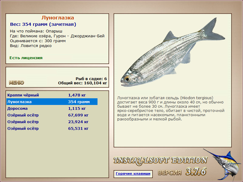 Великие Американские озёра 