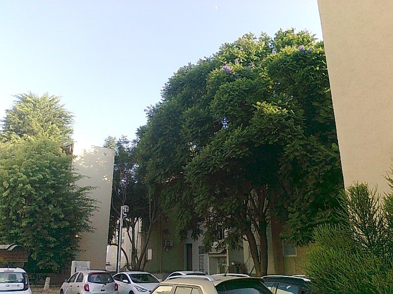 Что такое осень