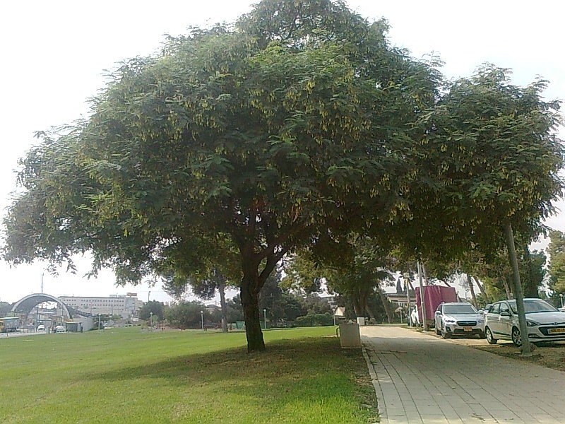 Что такое осень