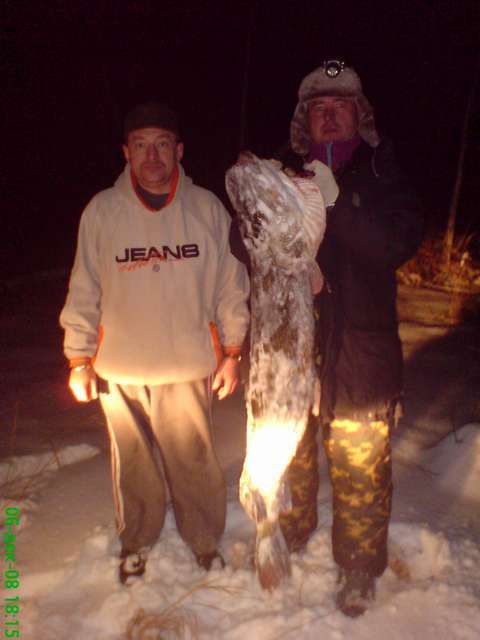  Памяти Палыча.