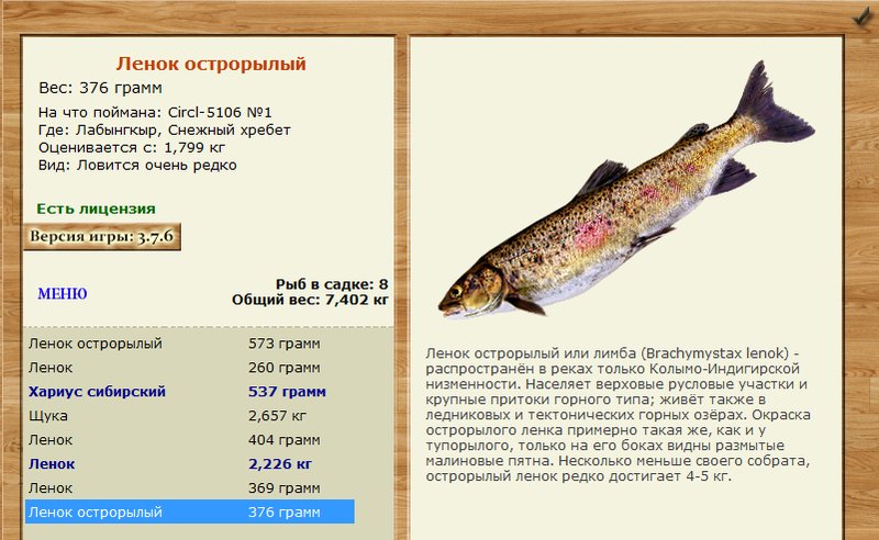 Снежный хребет 
