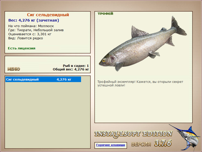 Сиг сельдевидный 