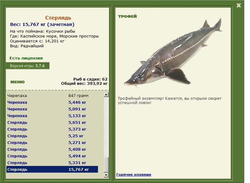 Морские просторы 