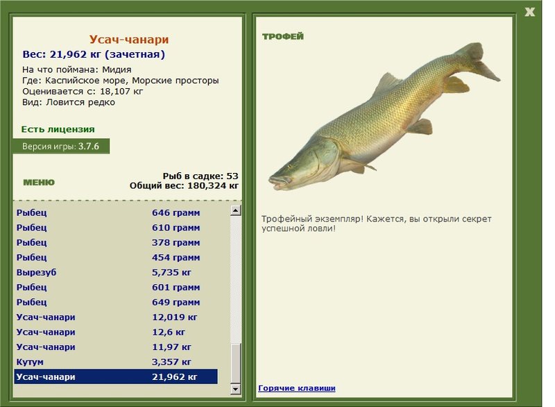 Морские просторы 