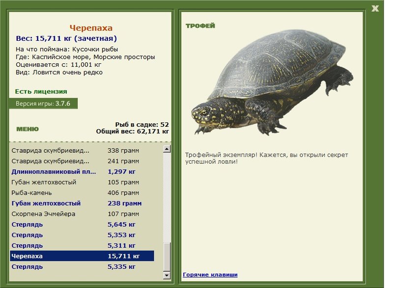 Морские просторы 