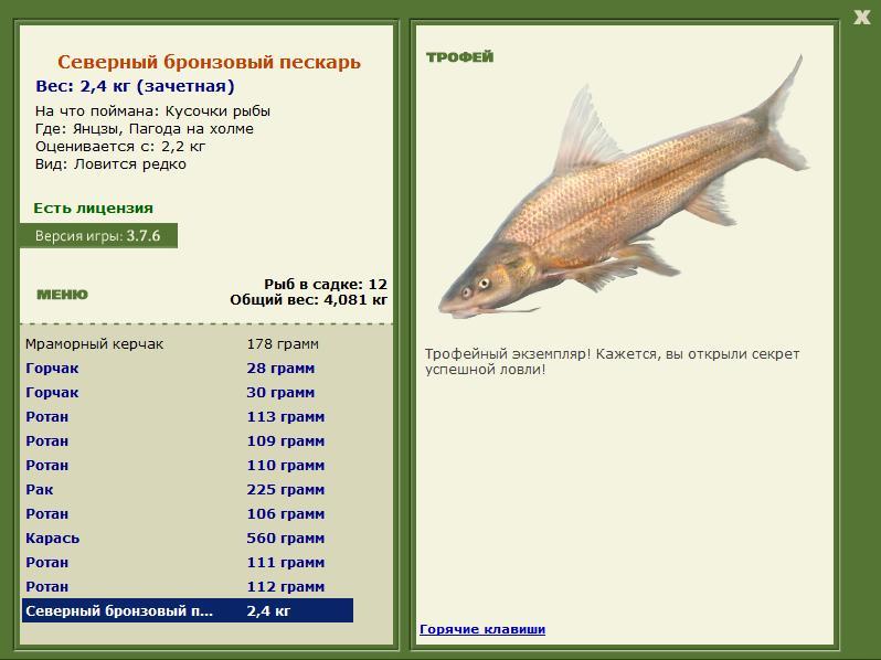 Пагода на холме 