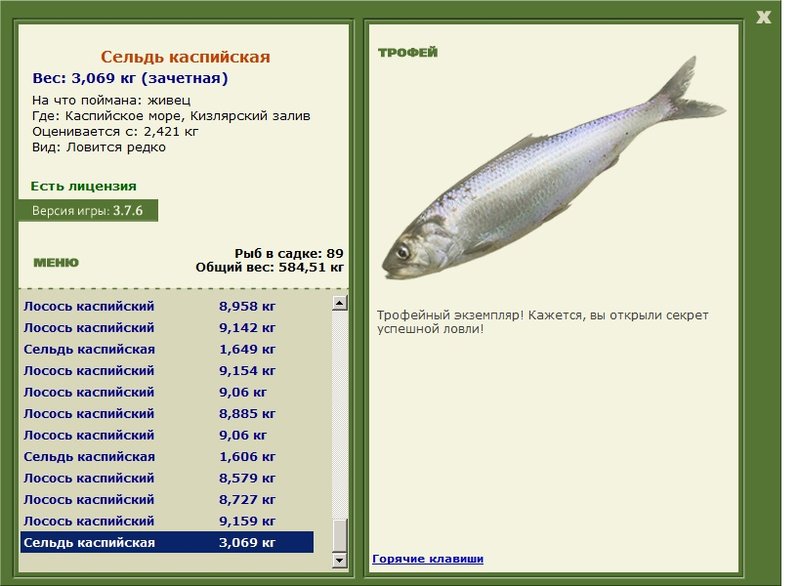 Кизлярский залив 