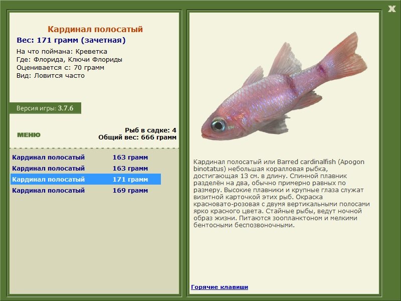 Ключи Флориды 