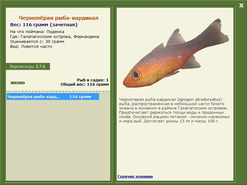 Фернандина 