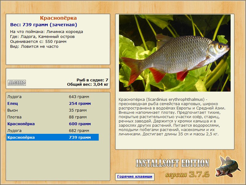 Каменный остров 