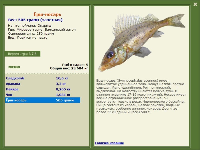 Мировое турне 