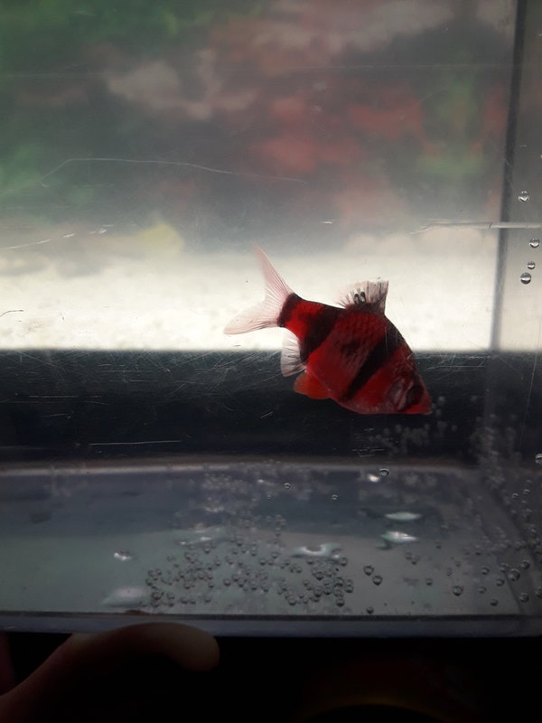  Редактировать сообщение