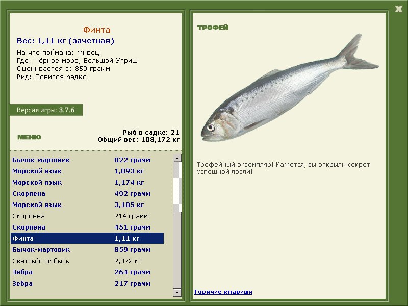Финта 