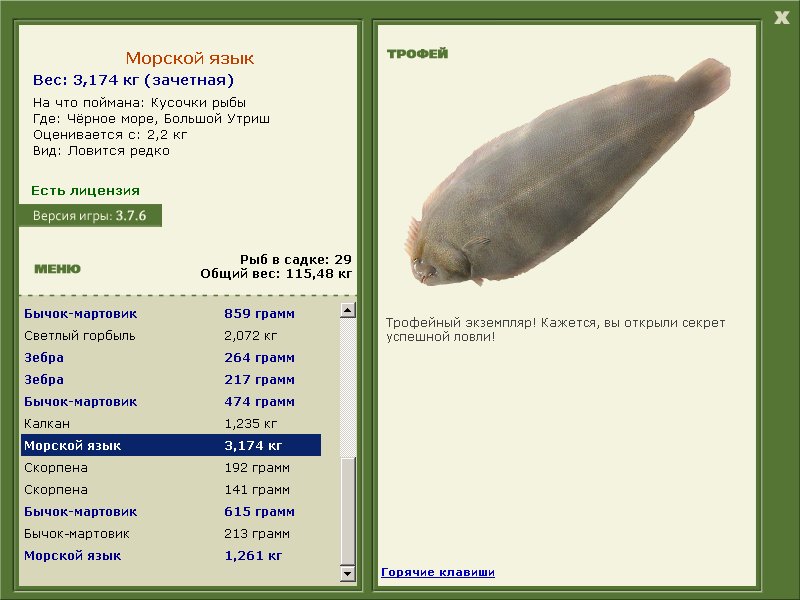 Морской язык 