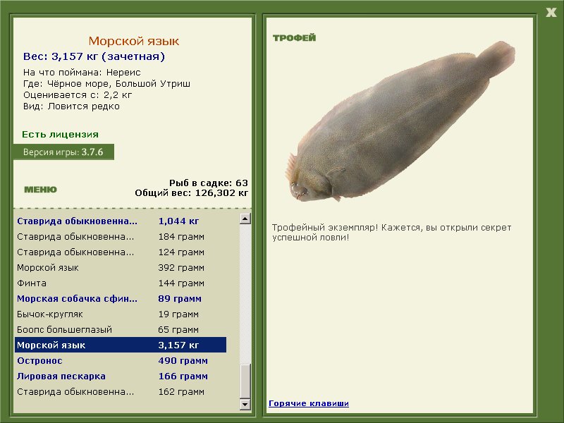 Морской язык 