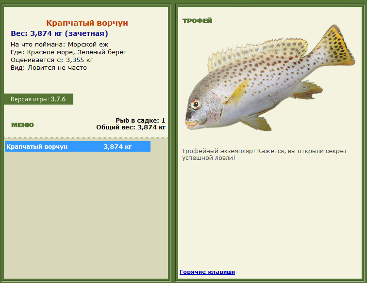 турниры • РУССКАЯ РЫБАЛКА