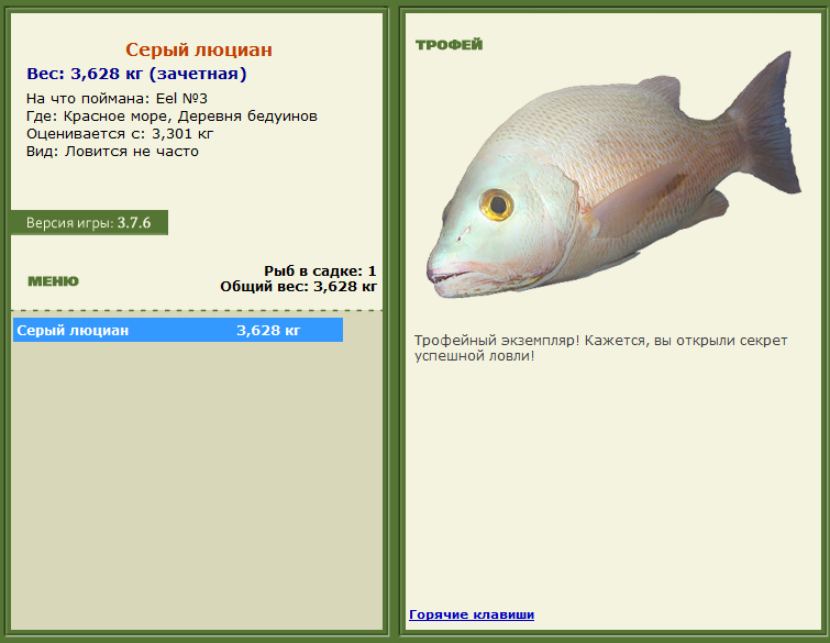 турниры • РУССКАЯ РЫБАЛКА