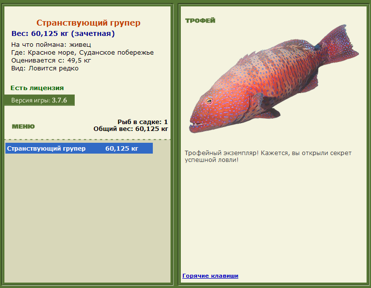 турниры • РУССКАЯ РЫБАЛКА