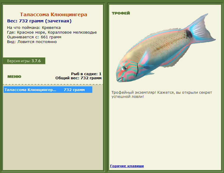 турниры • РУССКАЯ РЫБАЛКА