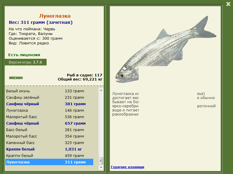 турниры • РУССКАЯ РЫБАЛКА