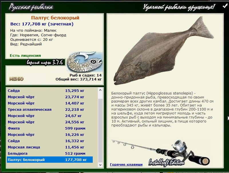 турниры • РУССКАЯ РЫБАЛКА