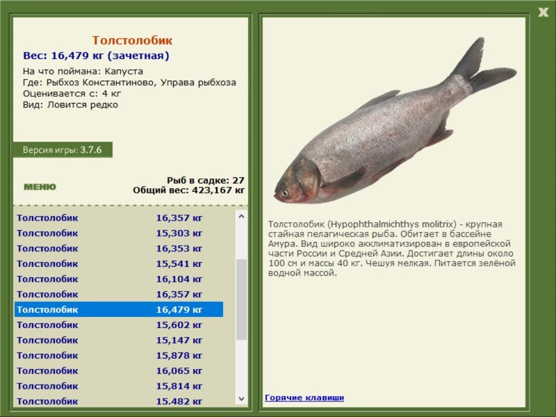 Управа рыбхоза 