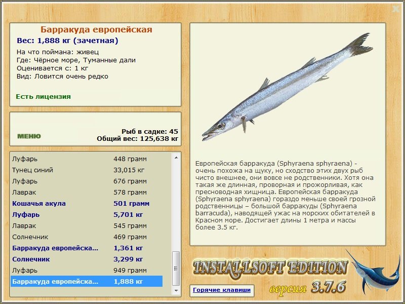 турниры • РУССКАЯ РЫБАЛКА