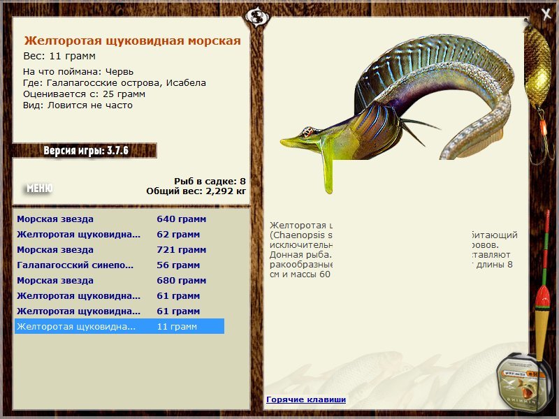 турниры • РУССКАЯ РЫБАЛКА