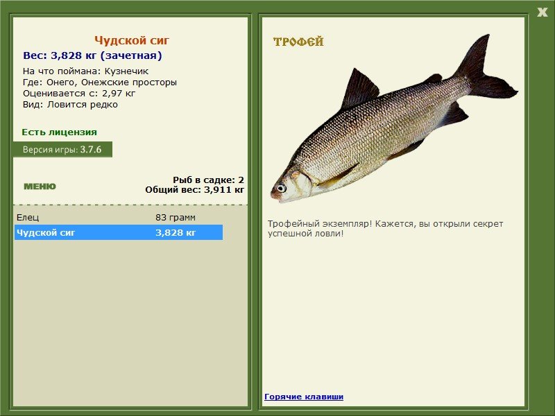 Онежские просторы 