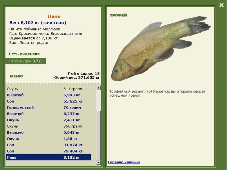 Вязовская петля 