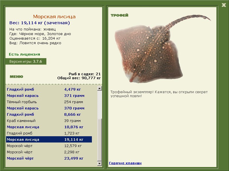 Морская лисица 