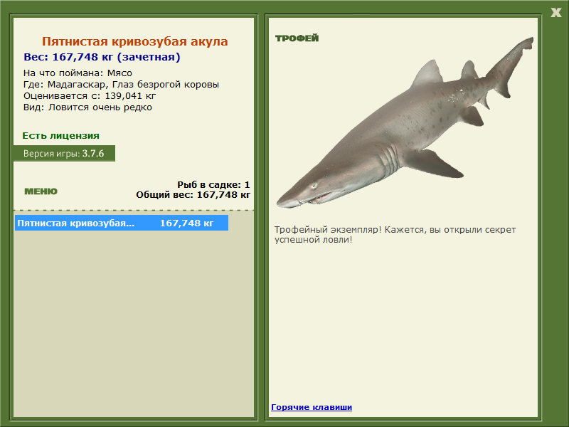 Пятнистая кривозубая акула 